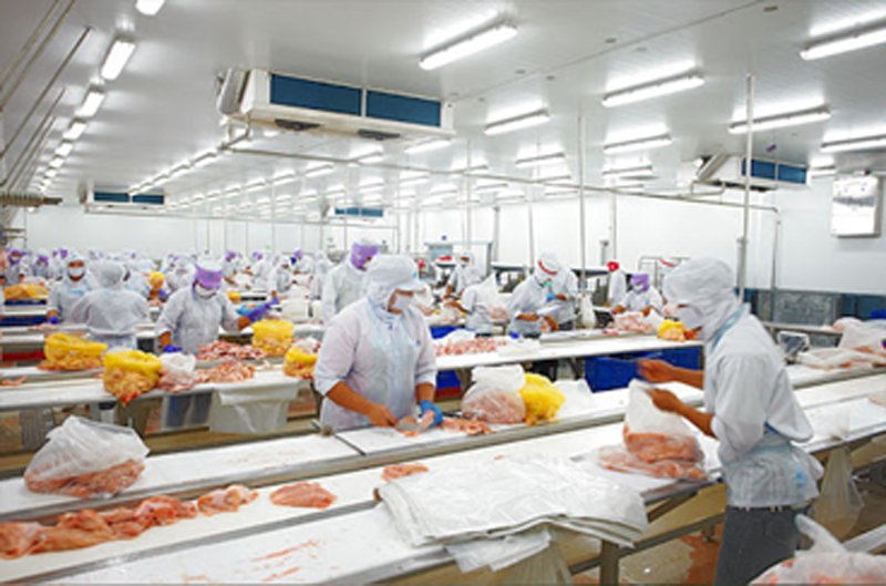 Food Processing Rooms